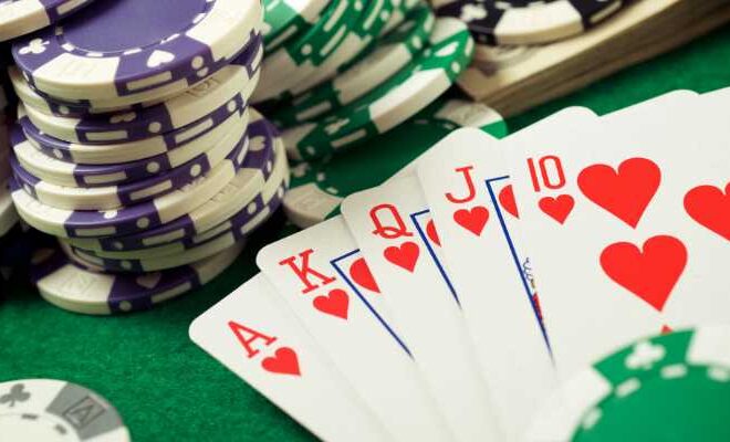 Casino Entertainment – Discover a colorful world of fun and opportunity